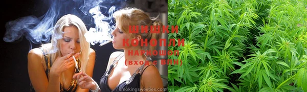 ешки Козловка