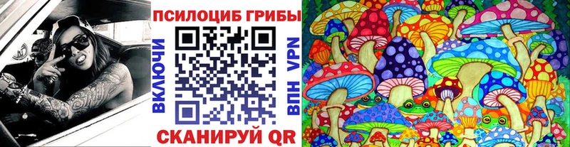 где купить   Холмск  Псилоцибиновые грибы Cubensis 