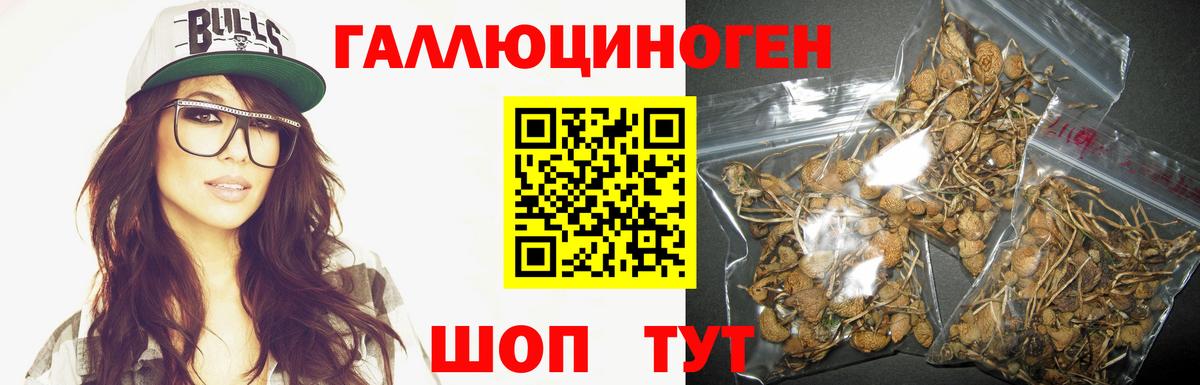Псилоцибиновые грибы мухоморы Холмск