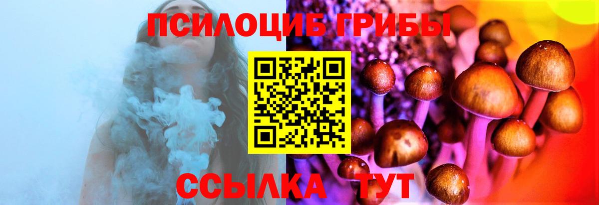 Холмск  Псилоцибиновые грибы Magic Shrooms  Вход с VPN  Галлюциногенные грибы Cubensis 